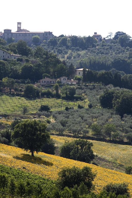 Agriturismo Il Girasole Montefalco Kültér fotó