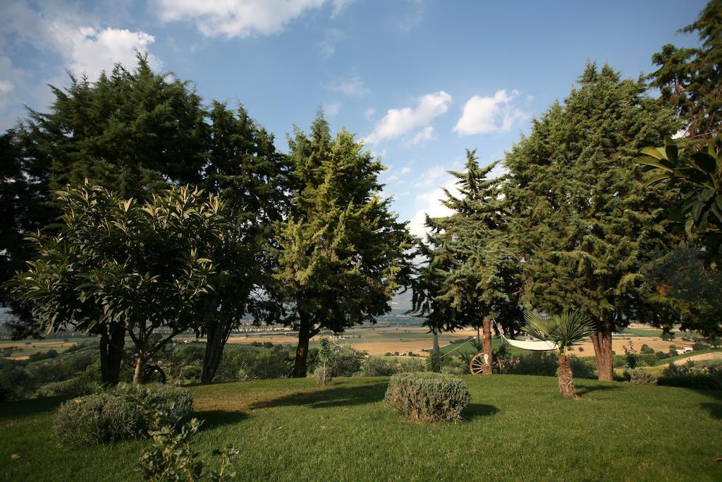 Agriturismo Il Girasole Montefalco Szoba fotó
