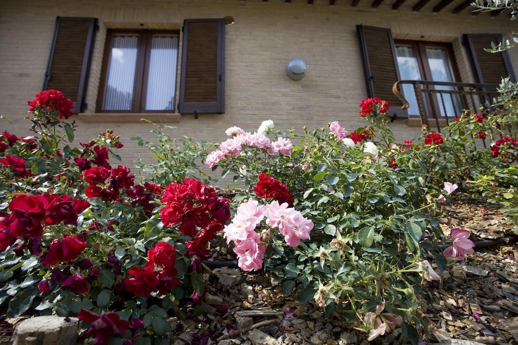 Agriturismo Il Girasole Montefalco Szoba fotó