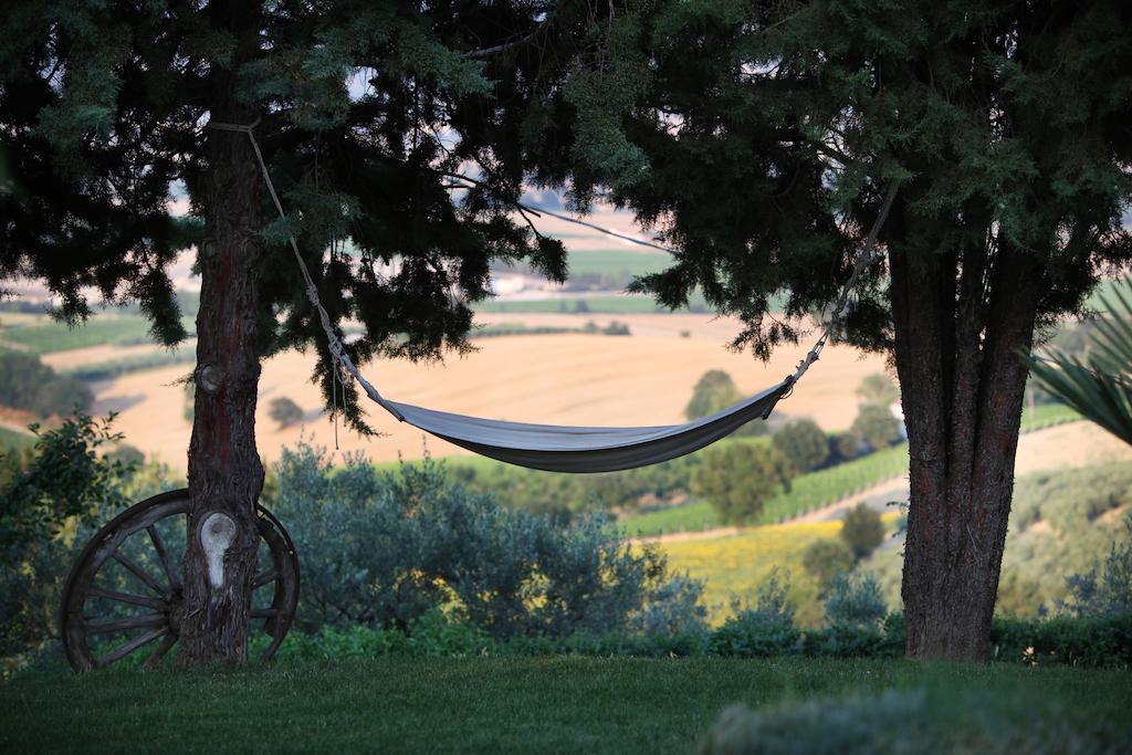 Agriturismo Il Girasole Montefalco Kültér fotó