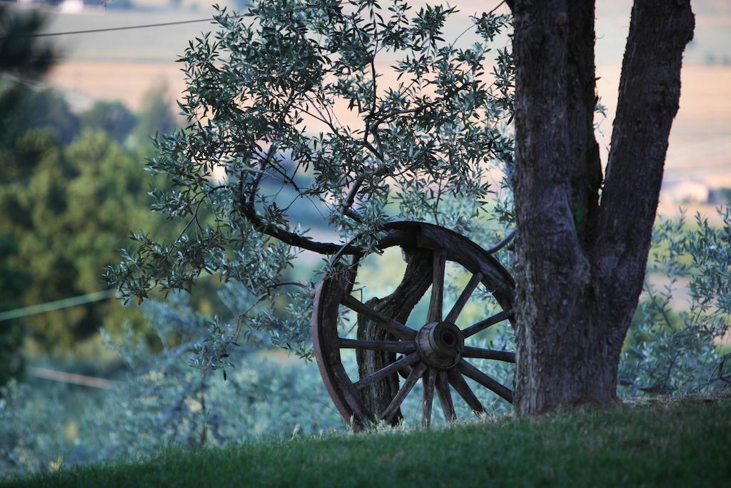 Agriturismo Il Girasole Montefalco Kültér fotó