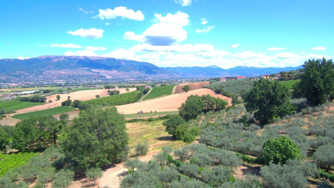 Agriturismo Il Girasole Montefalco Kültér fotó